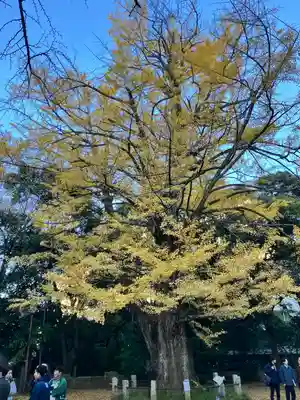 赤坂氷川神社(東京都)