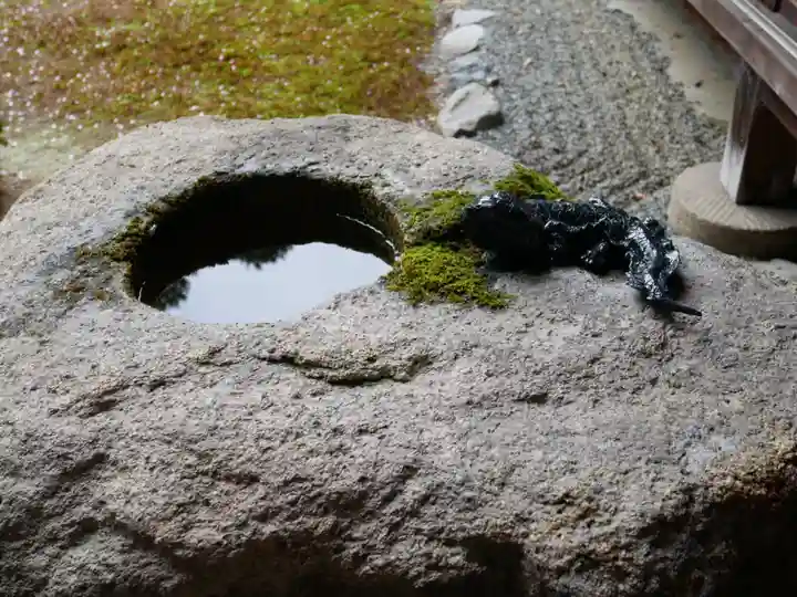 光明院(光明禅院)の庭園