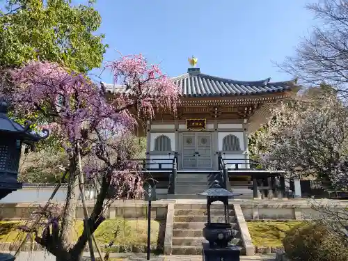 妙法寺のその他建物