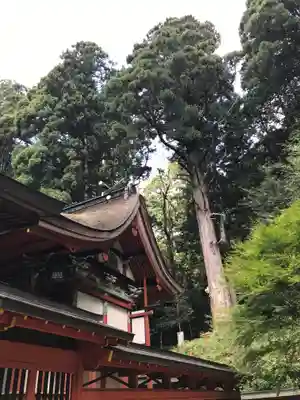 御形神社(兵庫県)