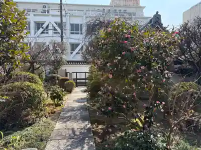 青蓮寺(大阪府)