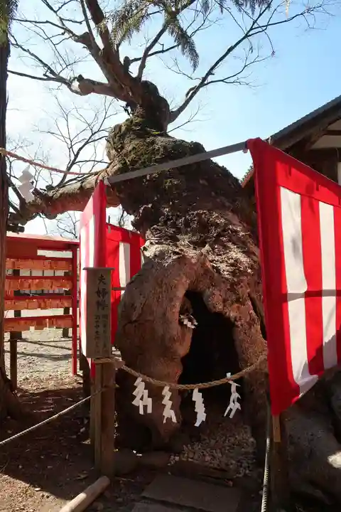 生島足島神社(長野県)