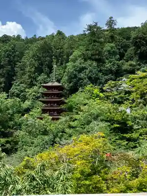 長谷寺(奈良県)