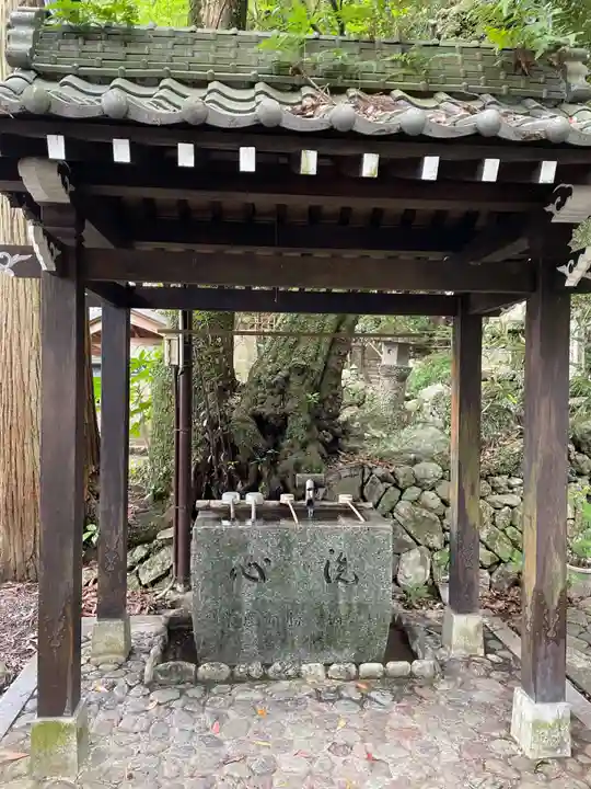 お松大権現(徳島県)