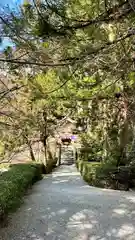 高鴨神社(奈良県)