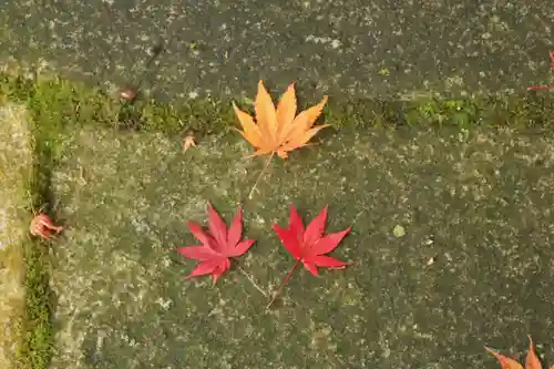 桜天満宮(京都府)