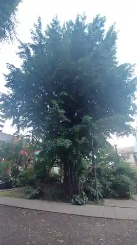 成子天神社(東京都)