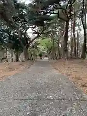 烏森神社の建物その他