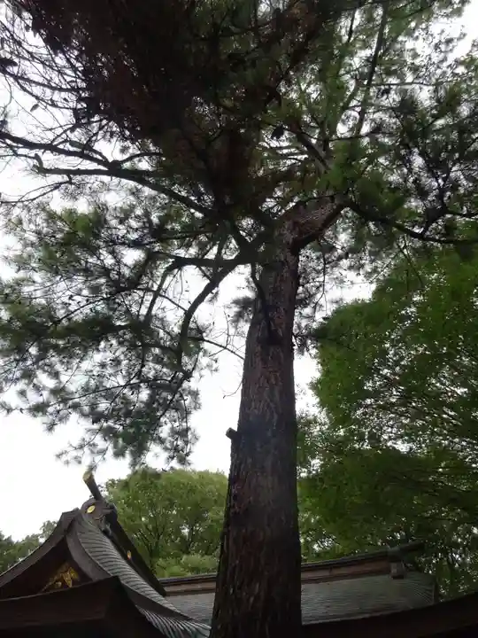 前鳥神社の自然