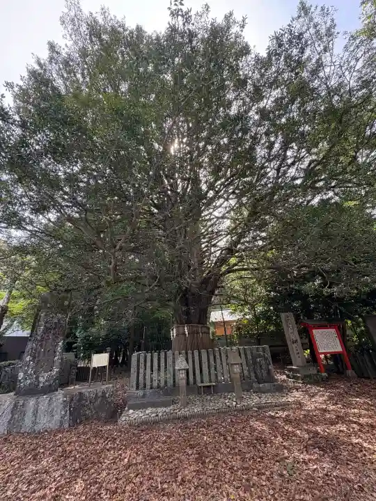 熊野速玉大社の{uncategorized: "未分類", other: "その他", undefined: "問題あり", building: "その他建物", grave: "お墓", sacred_gate: "鳥居", guardian: "狛犬", statue: "像", buddha: "仏像", history: "歴史", nature: "自然", garden: "庭園", animal: "動物", pagoda: "塔", temizu: "手水舎", mountain_gate: "山門・神門", sanctuary: "本殿・本堂", subordinate: "末社・摂社", art: "芸術", scenery: "景色", jizo: "地蔵", ema: "絵馬", goshuin: "御朱印", omikuji: "おみくじ", items: "授与品その他", amulet: "お守り", goshuincho: "御朱印帳", eats: "食事", festival: "お祭り", votive_dance: "神楽", shichigosan: "七五三参", wedding: "結婚式", experience: "体験その他", initially: "初詣", around: "周辺", anti_infection: "感染症対策"}