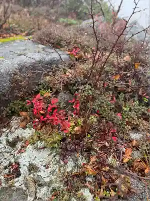 信州駒ヶ岳神社(長野県)