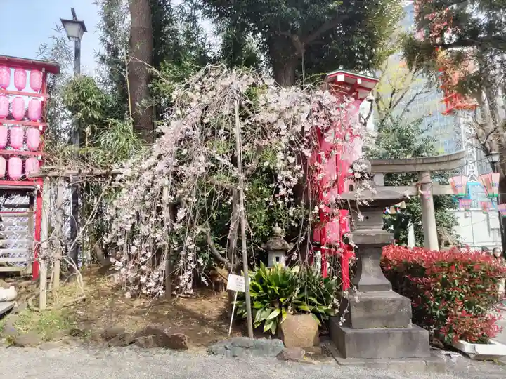 居木神社の自然