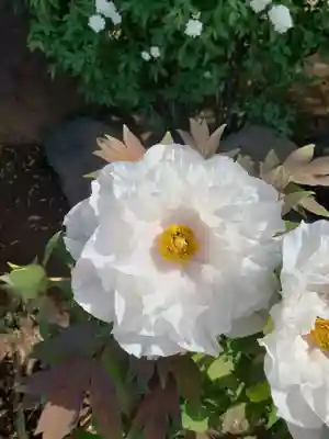 禅定院(東京都)