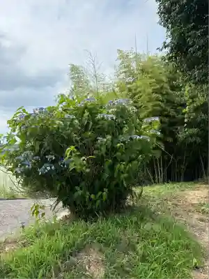 浄土寺(兵庫県)