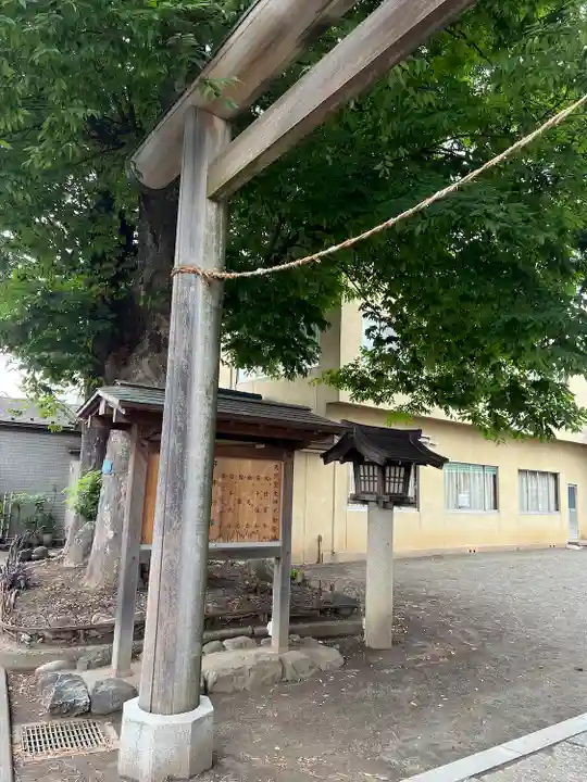 井田神社(神奈川県)