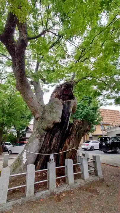阿邪訶根神社(福島県)