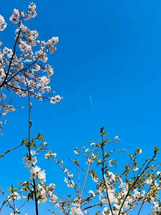 福井神社(福井県)