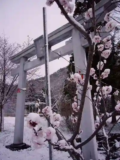 示現神社の鳥居