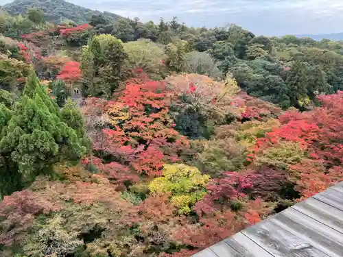 清水寺(京都府)