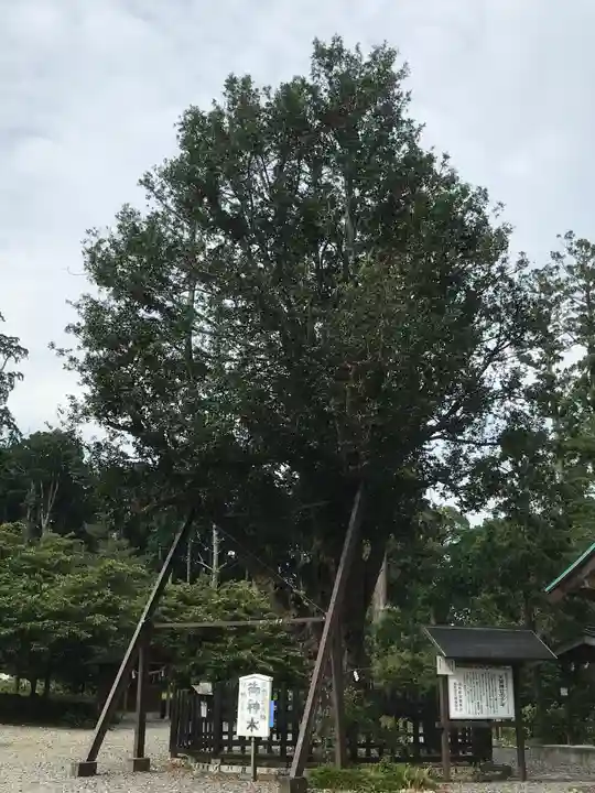 天宮神社の自然