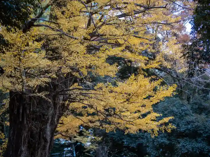 赤坂氷川神社(東京都)