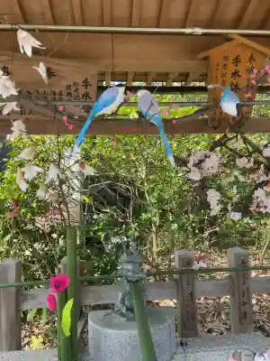須天熊野神社(石川県)