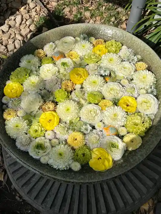 行田八幡神社(埼玉県)