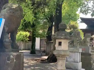 町田天満宮の狛犬