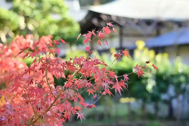 建長寺(神奈川県)