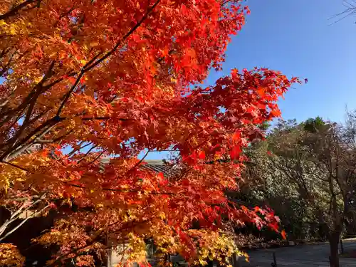 勝林寺(京都府)