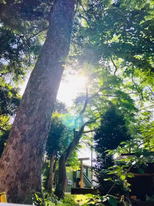 日吉神社(千葉県)