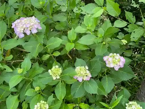 大生郷天満宮の自然