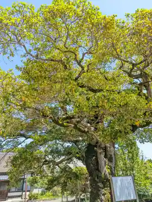 乙訓寺(京都府)