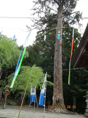 滑川神社 - 仕事と子どもの守り神の自然
