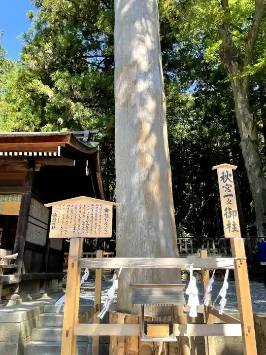 諏訪大社下社秋宮(長野県)