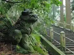 白山比咩神社の狛犬