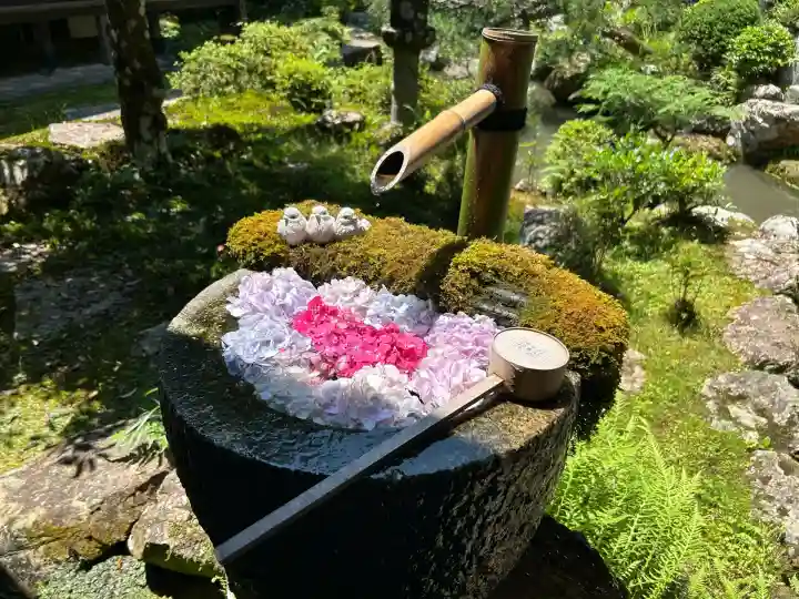 柳谷観音 楊谷寺(京都府)