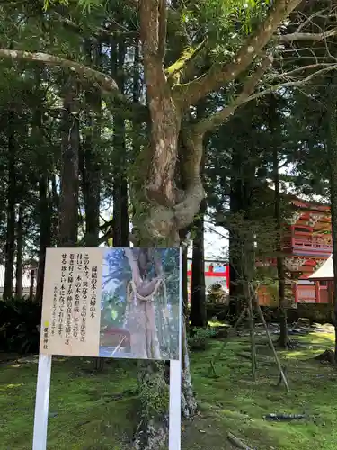 榎原神社の自然