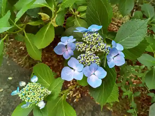 資福寺(宮城県)