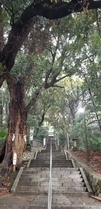 浅間神社(千葉県)