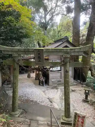神龍八大龍王神社(熊本県)