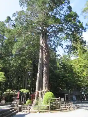 北口本宮冨士浅間神社のその他建物