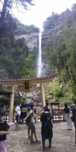 熊野那智大社の自然