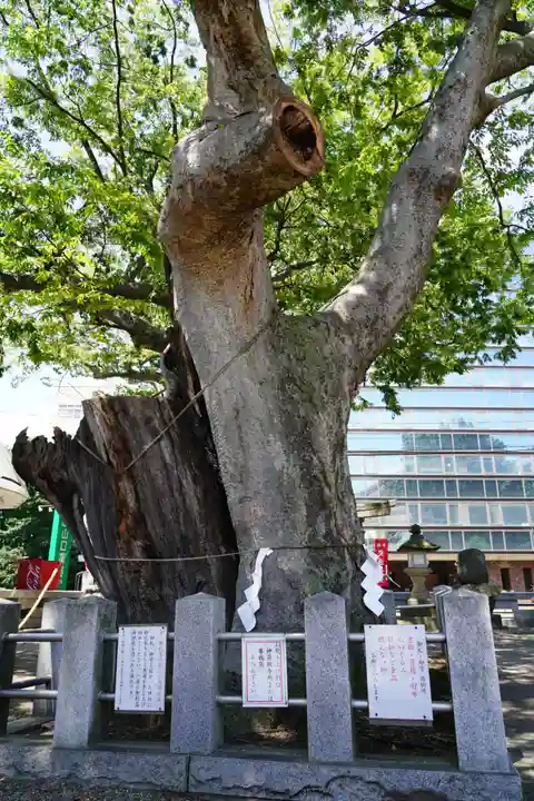 阿邪訶根神社の自然