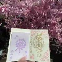 桜神宮(東京都)