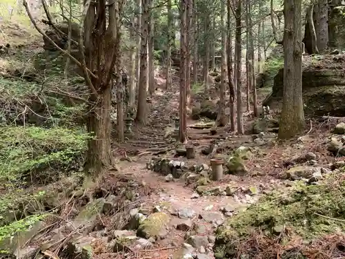 深草岩屋観音堂（深草山瑞岩寺奥院）の自然