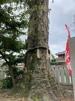 熊野大神社の自然