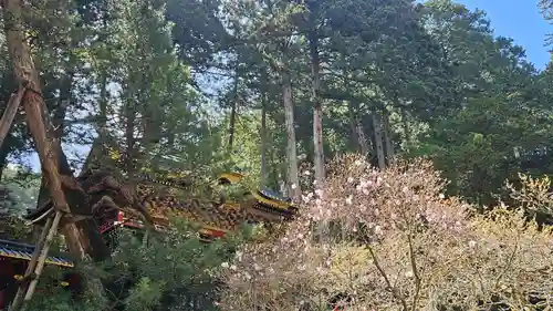 日光山輪王寺 大猷院(栃木県)