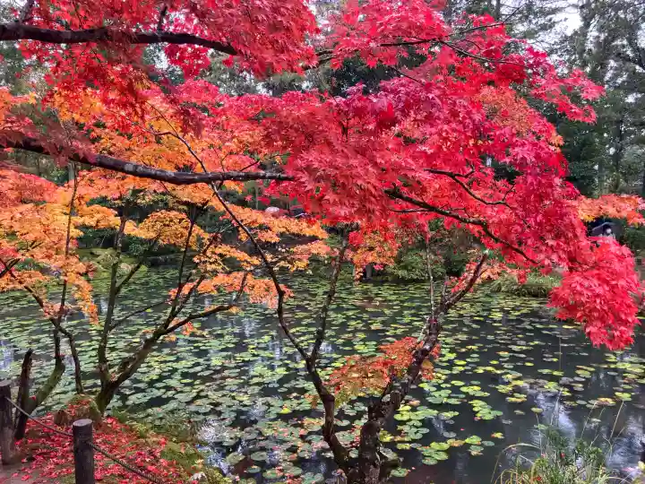 天授庵(京都府)