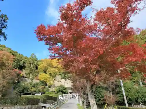 摠見寺（安土城趾）の周辺